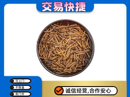 广元利州区礼品回收虫草.jpg